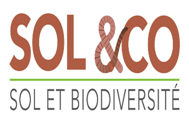 photo Sol &co