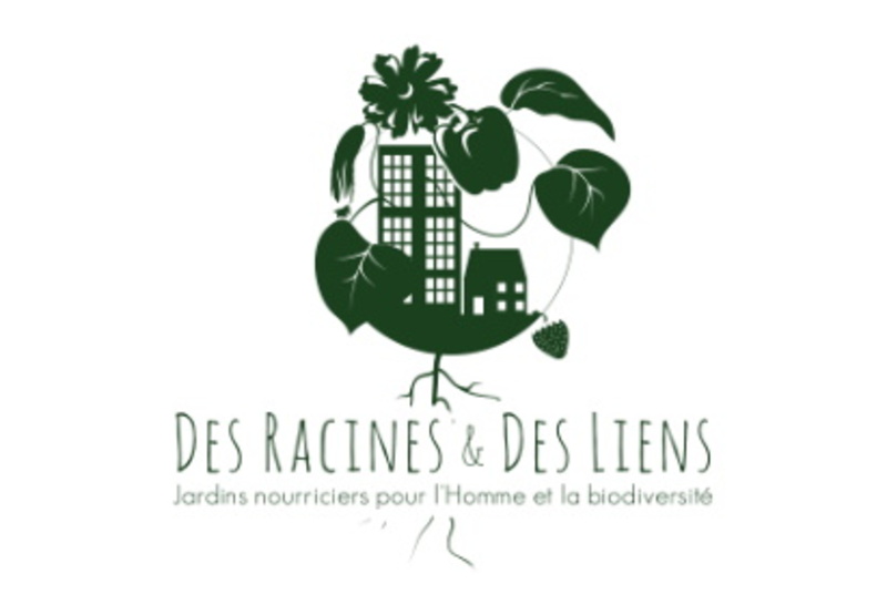 photo Des racines et des liens